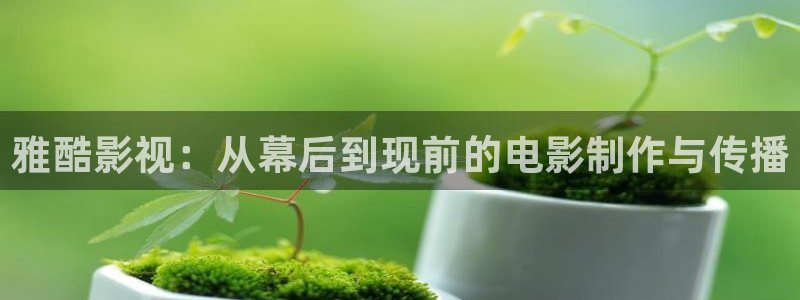 大地资源在线观看免费版电影：雅酷影视：从幕后到现前的电影制作与传播