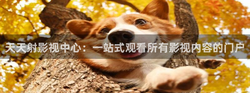 大地影视在线观看免费高清完整版：天天射影视中心：一站式观看所有影视内容的门户