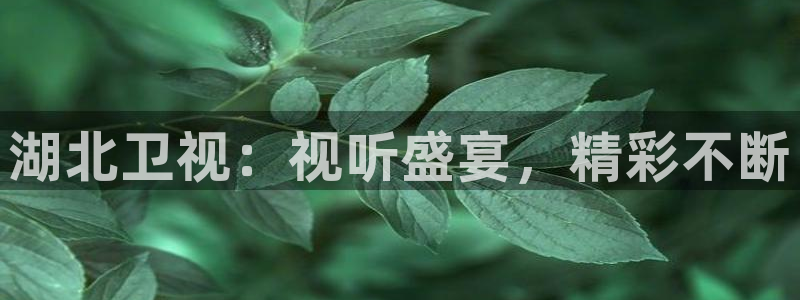 广州大地数字影院：湖北卫视：视听盛宴，精彩不断