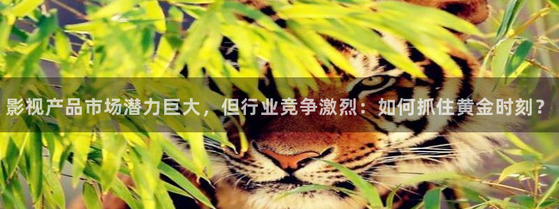 腾飞大地影院：影视产品市场潜力巨大，但行业竞争激烈：如何抓住黄金时刻？