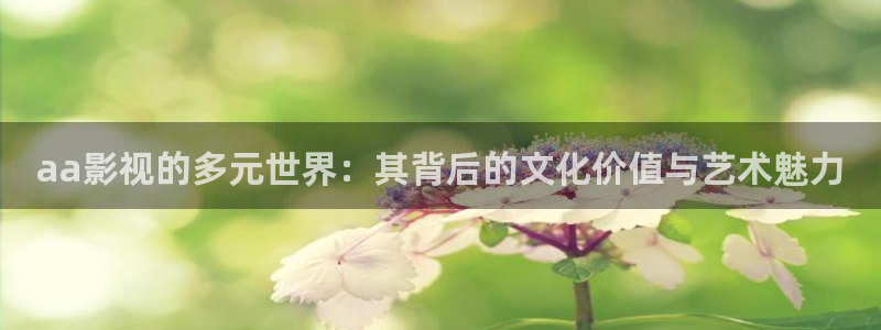蚌埠大地影院：aa影视的多元世界：其背后的文化价值与艺术魅力