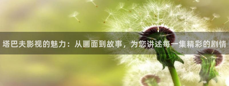 大地影院图片大全：塔巴夫影视的魅力：从画面到故事，为您讲述每一集精彩的剧情