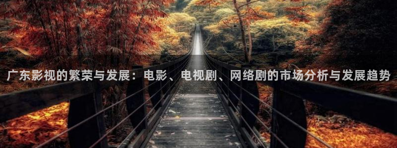 湛江大地影院：广东影视的繁荣与发展：电影、电视剧、网络剧的市场分析与发展趋势