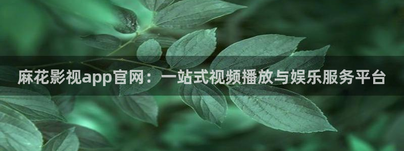 神马大地影院：麻花影视app官网：一站式视频播放与娱乐服务平台